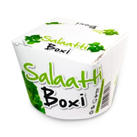 Salaattiboxi taittokannella