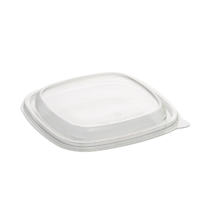 SAPAP54024K